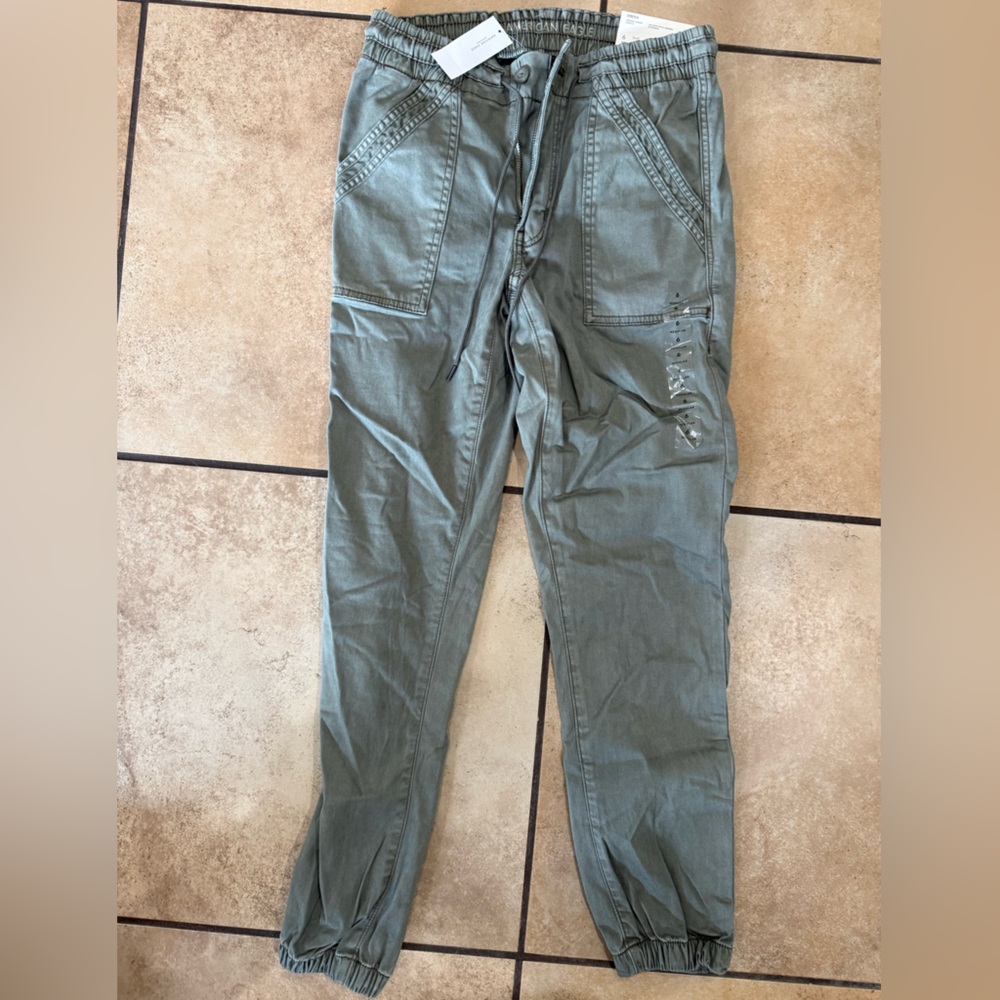 American Eagle Outfitters Sage Green Drawstring Joggers
